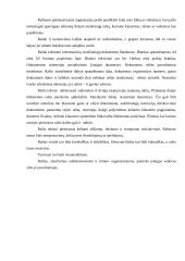 Raštvedyba 17 puslapis