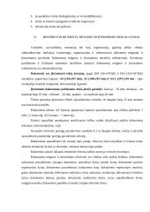 Raštvedyba 4 puslapis