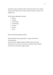 Raštvedybos sistemos aprašymas: Palangos "Baltijos" vidurinė mokykla 8 puslapis