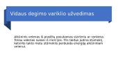 ﻿Vidaus degimo variklio atsiradimo istorija 3 puslapis
