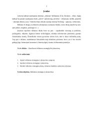 Reklamos strategija ir planavimas 3 puslapis