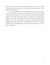 Vienatvė kaip egzistencinė ir socialinė problema šiuolaikinių moterų rašytojų kūryboje 20 puslapis