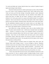 Vienatvė kaip egzistencinė ir socialinė problema šiuolaikinių moterų rašytojų kūryboje 6 puslapis