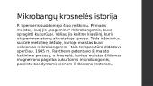 Mikrobangų krosnelė 3 puslapis