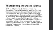 Mikrobangų krosnelė 4 puslapis
