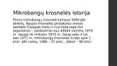 Mikrobangų krosnelė 9 puslapis