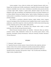 Renesanso estetikos ypatumai 5 puslapis