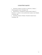 Rinkimai, rinkimų samprata ir rinkimų sistemos 12 puslapis