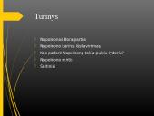 Napoleonas Bonapartas - puikus lyderis 2 puslapis