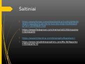 Napoleonas Bonapartas - puikus lyderis 7 puslapis