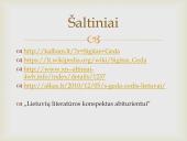 Sigitas Geda (1943–2008) 12 puslapis