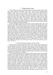 Rinkodaros tyrimų rūšys 11 puslapis