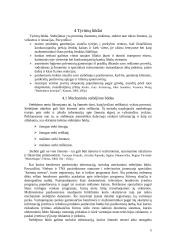 Rinkodaros tyrimų rūšys 5 puslapis