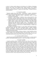 Rinkodaros tyrimų rūšys 8 puslapis