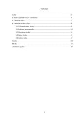 Rizikos apibūdinimas ir įvertinimas. Finansinė rizika 2 puslapis