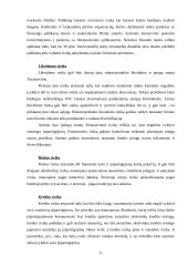 Rizikos apibūdinimas ir įvertinimas. Finansinė rizika 11 puslapis