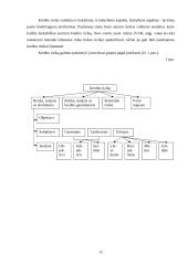 Rizikos apibūdinimas ir įvertinimas. Finansinė rizika 12 puslapis