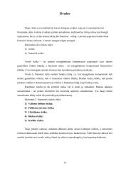 Rizikos apibūdinimas ir įvertinimas. Finansinė rizika 13 puslapis