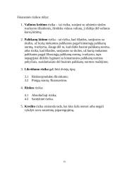 Rizikos apibūdinimas ir įvertinimas. Finansinė rizika 15 puslapis