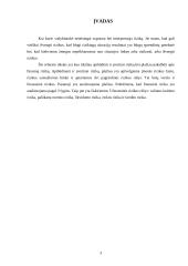 Rizikos apibūdinimas ir įvertinimas. Finansinė rizika 3 puslapis