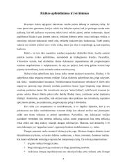 Rizikos apibūdinimas ir įvertinimas. Finansinė rizika 4 puslapis