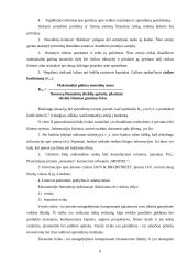 Rizikos apibūdinimas ir įvertinimas. Finansinė rizika 6 puslapis