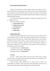 Rizikos apibūdinimas ir įvertinimas. Finansinė rizika 9 puslapis