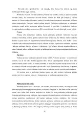 Rizikos apibūdinimas ir įvertinimas. Finansinė rizika 10 puslapis