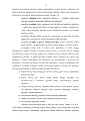 Romos klubo veikla 13 puslapis