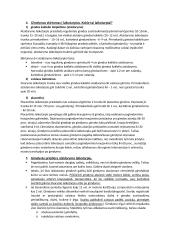 Nėščiosios sveikatos priežiūra 2 puslapis