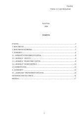 Ron Fricke. Filmas "Baraka" 2 puslapis