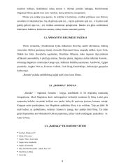 Ron Fricke. Filmas "Baraka" 8 puslapis