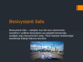 Pasaulio Prekybos Organizacija ir jos įtaka besivystančioms šalims 9 puslapis