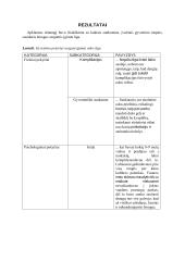 Gyvenimo potyriai sergant įgimta liga  3 puslapis