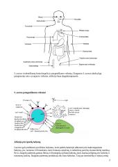 S. aureus patogeniškumo veiksniai ir atsparumo antibiotikams vystymosi mechanizmai 2 puslapis