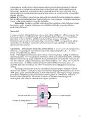 S. aureus patogeniškumo veiksniai ir atsparumo antibiotikams vystymosi mechanizmai 4 puslapis
