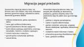 Migracijos rūšys 8 puslapis