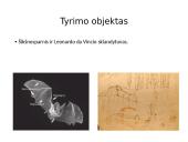 Šikšnosparniai ir Leonardo Da Vinčio skraidyklė 2 puslapis