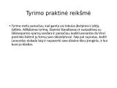 Šikšnosparniai ir Leonardo Da Vinčio skraidyklė 11 puslapis