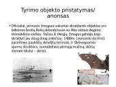 Šikšnosparniai ir Leonardo Da Vinčio skraidyklė 3 puslapis