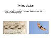 Šikšnosparniai ir Leonardo Da Vinčio skraidyklė 7 puslapis