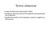 Šikšnosparniai ir Leonardo Da Vinčio skraidyklė 8 puslapis