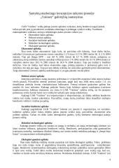Santykių marketingo sprendimų formavimas įmonėje "Vainora" 4 puslapis