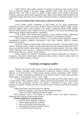 Santykių marketingo sprendimų formavimas įmonėje "Vainora" 6 puslapis