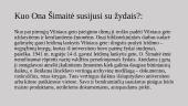 Kas buvo Ona Šimaitė? 4 puslapis