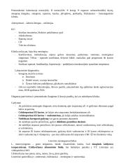 Meningokokinė infekcija ir kiti meningitai 8 puslapis