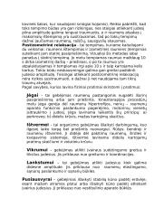 Fizinis aktyvumas namų sąlygomis 4 puslapis