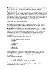 Fizinis aktyvumas namų sąlygomis 5 puslapis