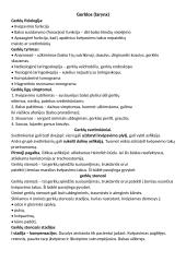 Nosies ligos LOR 19 puslapis