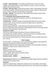 Nosies ligos LOR 20 puslapis